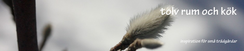 drommar-banner