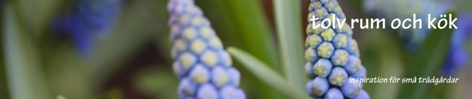 valja-banner