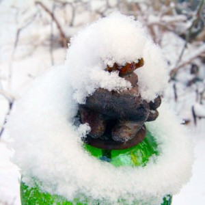 vinter-1-web